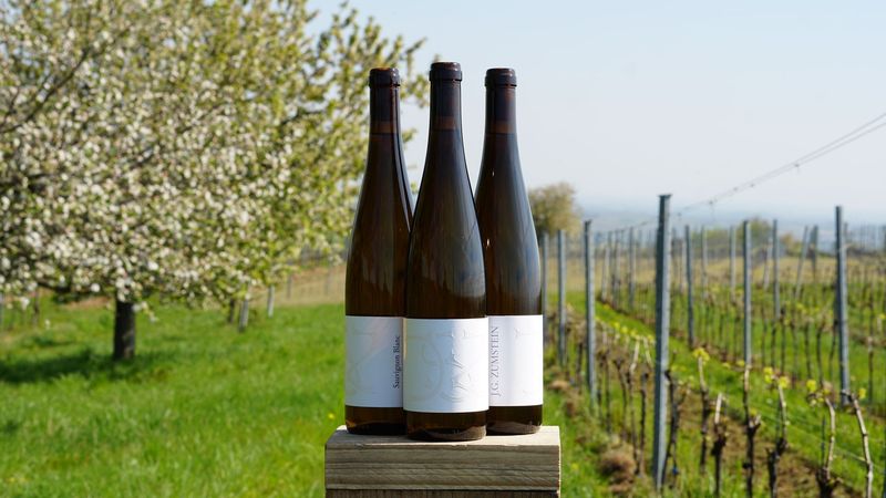 2024er SAUVIGNON BLANC 2024er SAUVIGNON BLANC