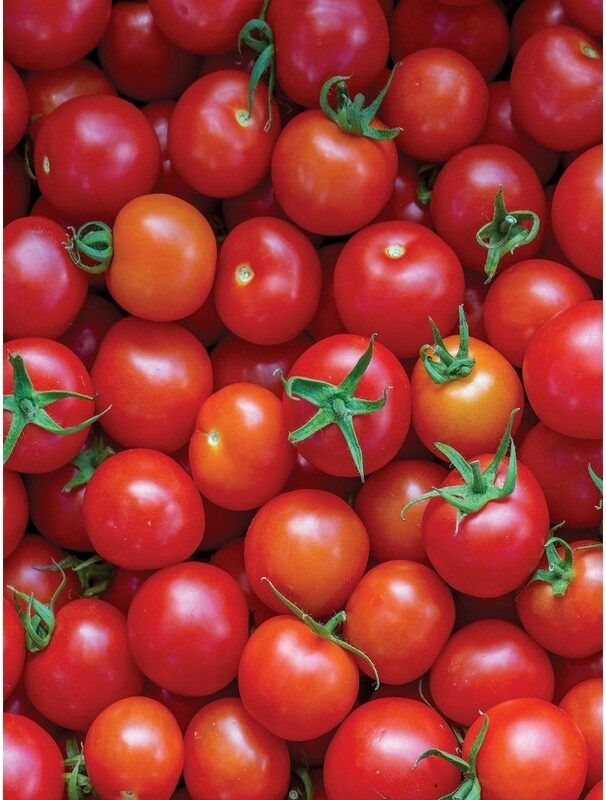 Tomato &#39;Sweet 100&#39; 