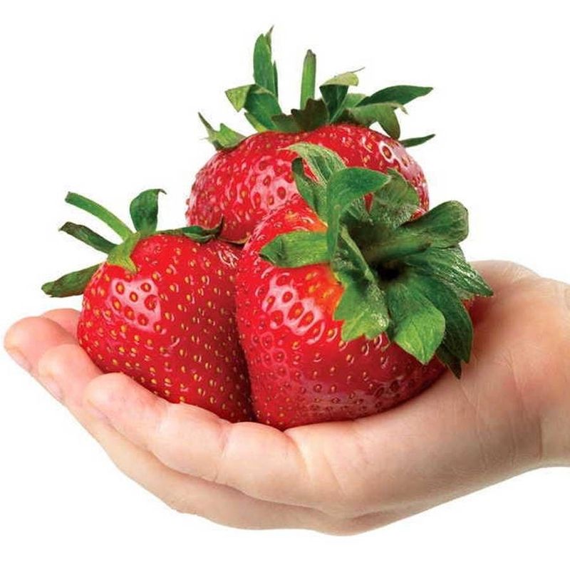 Strawberry &#39;Park&#39;s Whopper&quot;