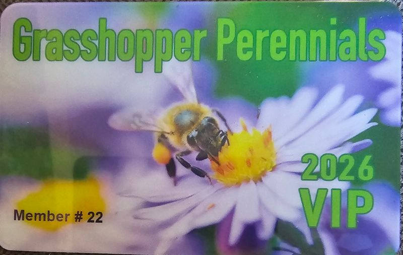 VIP Club Membership 2026