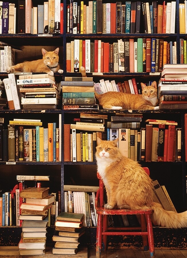 Gotham Bookstore Cats - 500 Piece Cobble Hill Puzzle