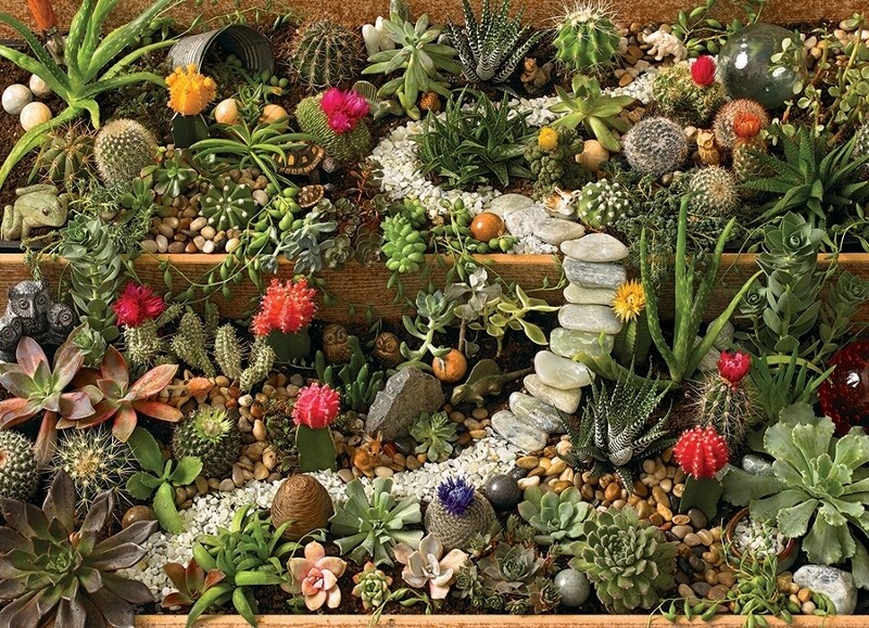 Succulent Garden - 1000 Piece Cobble Hill Puzzle