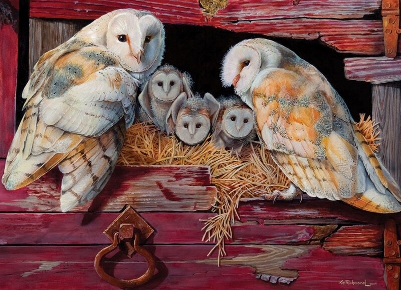 Barn Owls - 1000 Piece Cobble Hill Puzzle