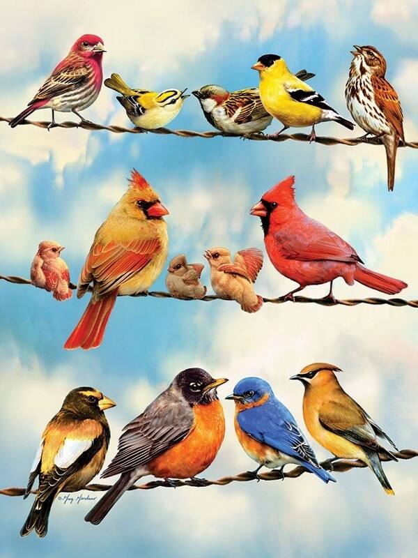 Birds on a Wire - 500 Piece Cobble Hill Puzzle