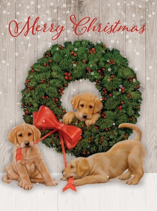 Lang Christmas Cards - Wonder and Joy - 18 per Box