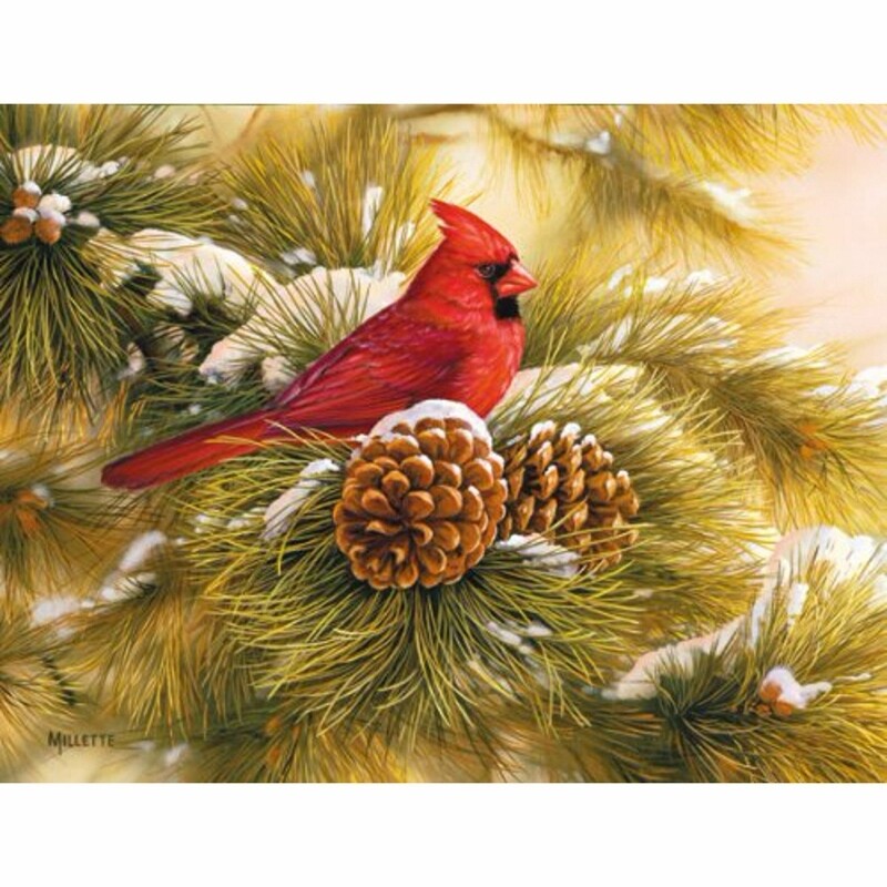 Lang Christmas Cards - December Dawn Cardinal - 18 per Box