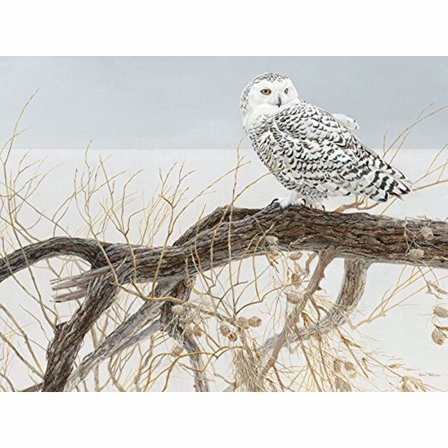 Fallen Willow Snowy Owl by Robert Bateman - 500 Piece Cobble Hill Puzzle