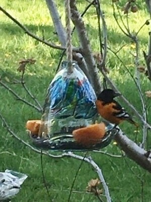 Kitras Art Glass - Dreams - Bird Feeder for Baltimore Orioles, Hummingbirds and others - Canadian Hand Blown Glass