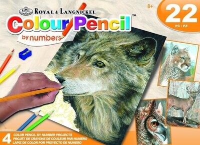 Colour Pencil by Numbers - American Wildlife - includes pencil crayons