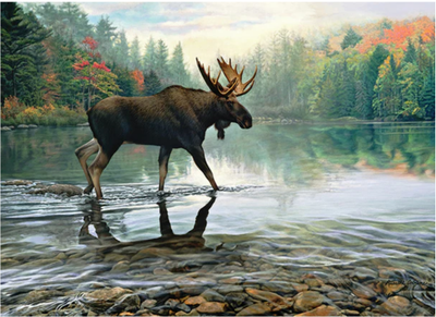 Moose Crossing - 1000 Piece Cobble Hill Puzzle