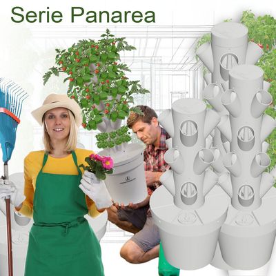 Torri idroponiche da tavolo o davanzale