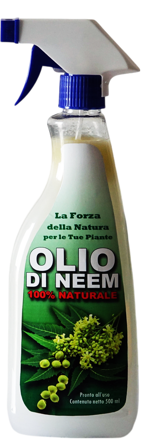 OLIO DI NEEM