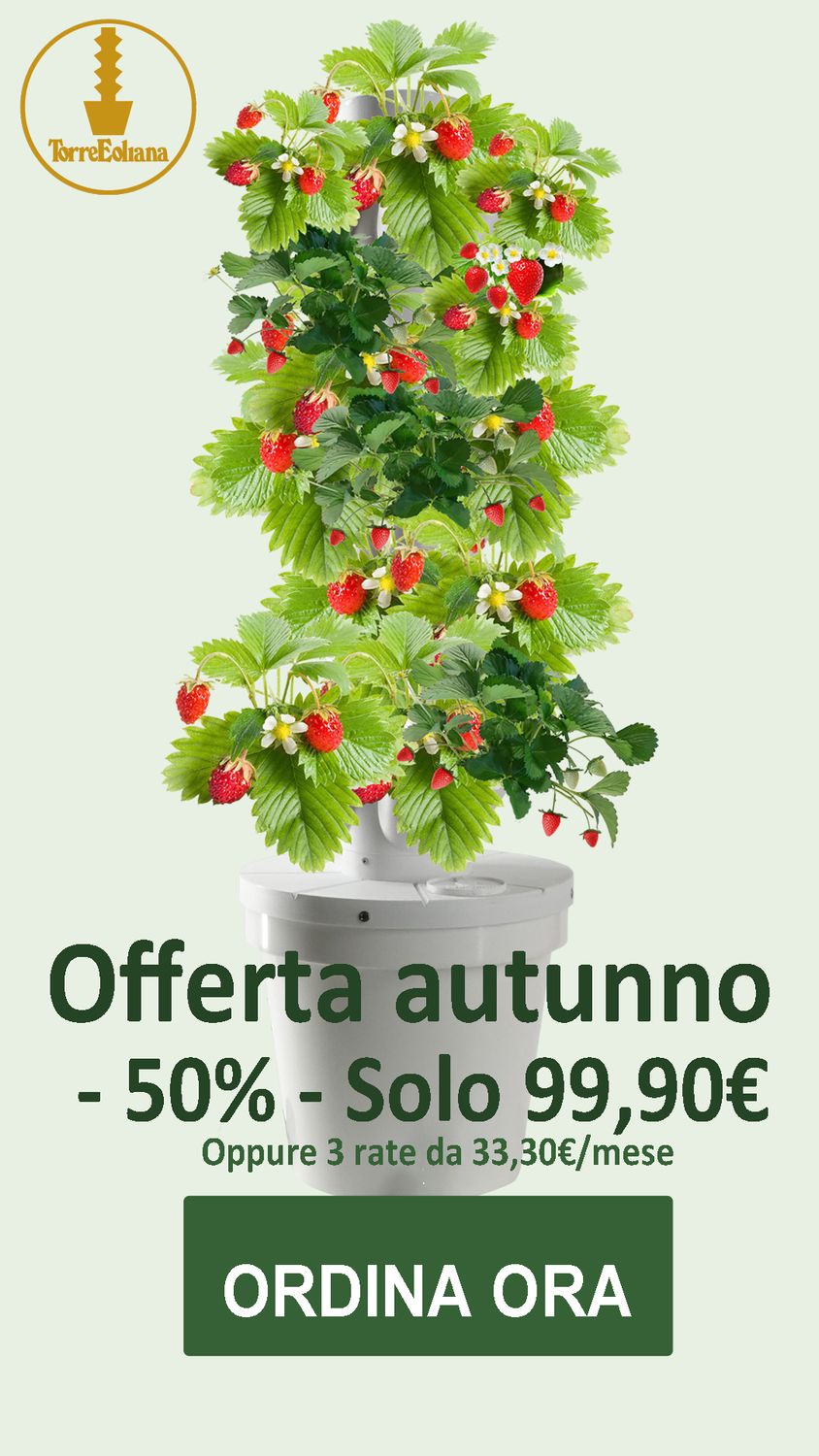 Torre Eoliana – Offerta d’autunno -50% • Solo 99 €