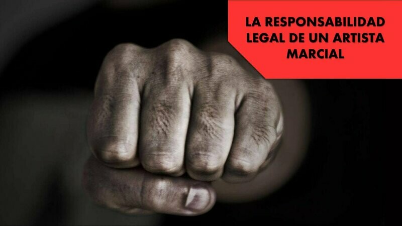 RC PROFRESOR DE ARTES MARCIALES ANUAL