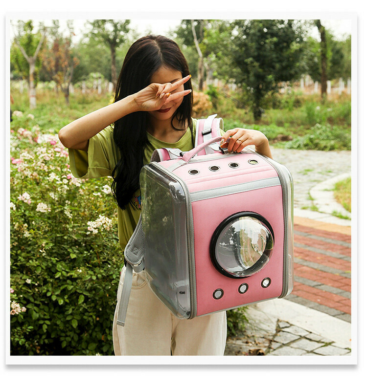 Cubed Backpack For Cats