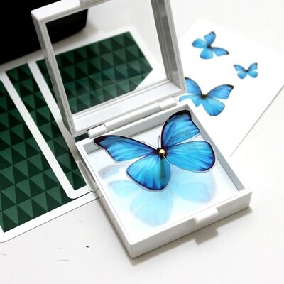 Mariposa Mágica Mariposa Mágica