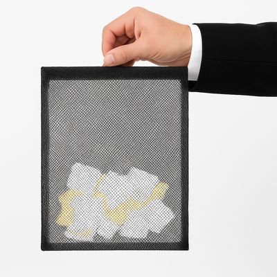 Bolsa de doble cambio negra semitransparente