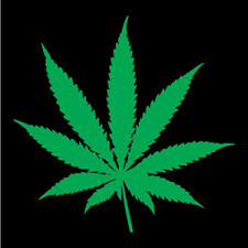 420 Medical Herbs Online Store