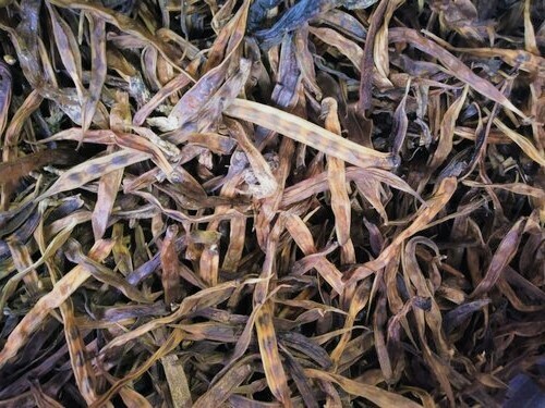 Kothavarangai Vathal (200g)