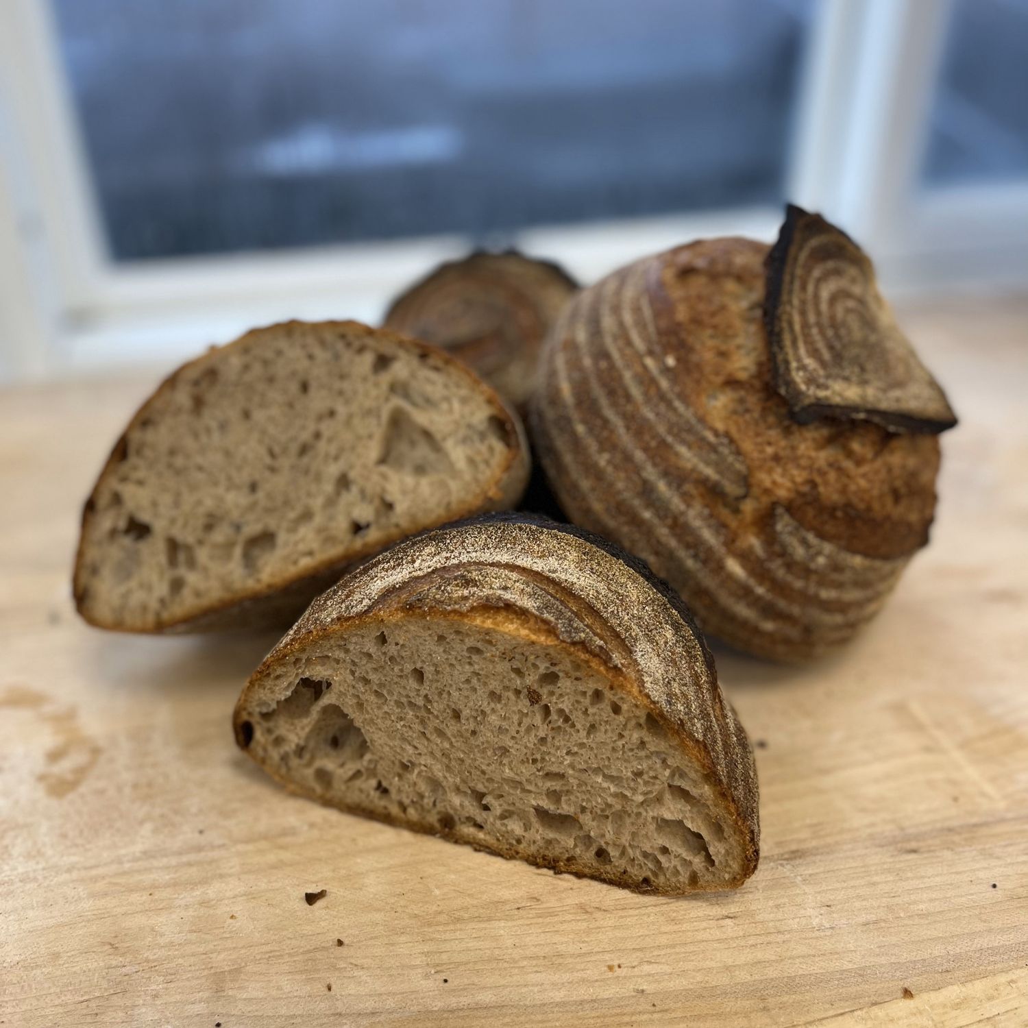 Sourdough, Semolina - 1lb