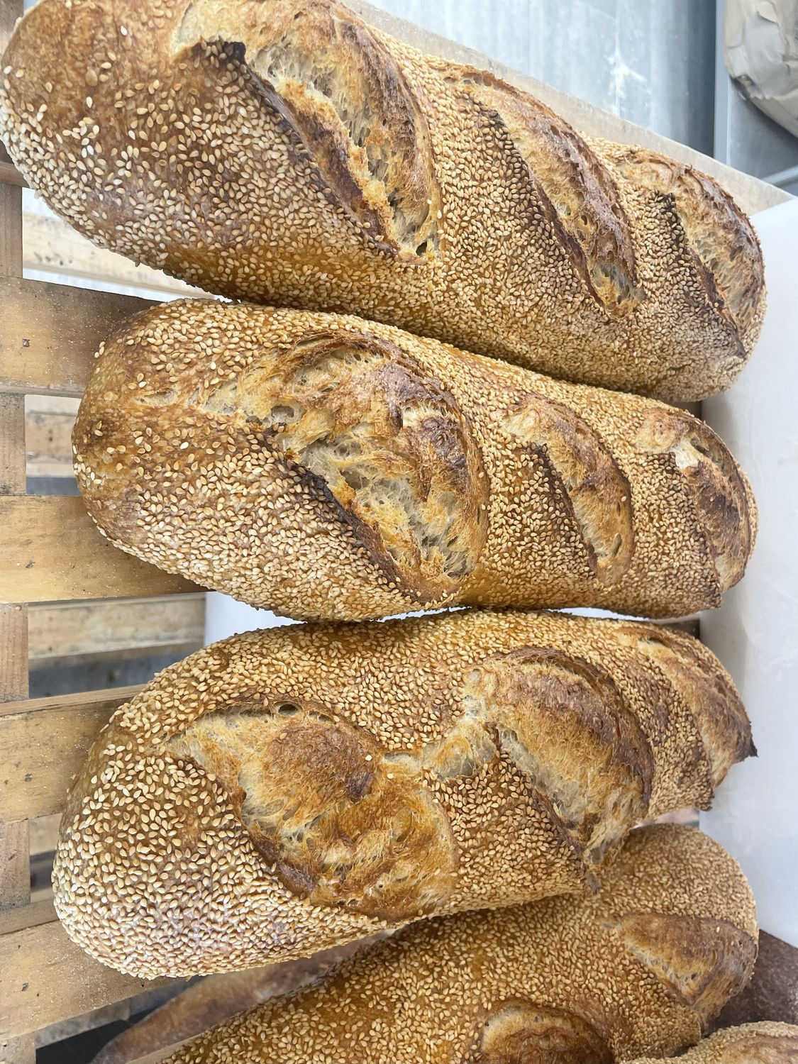 Sourdough Large Batard, Semolina - 2 lb
