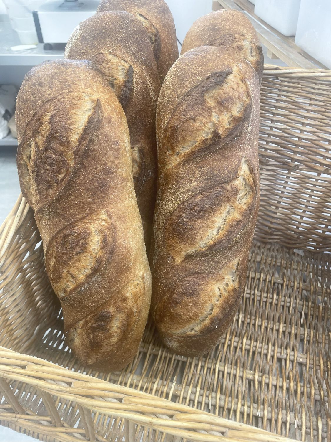 Sourdough Large Batard, White - 2 lb