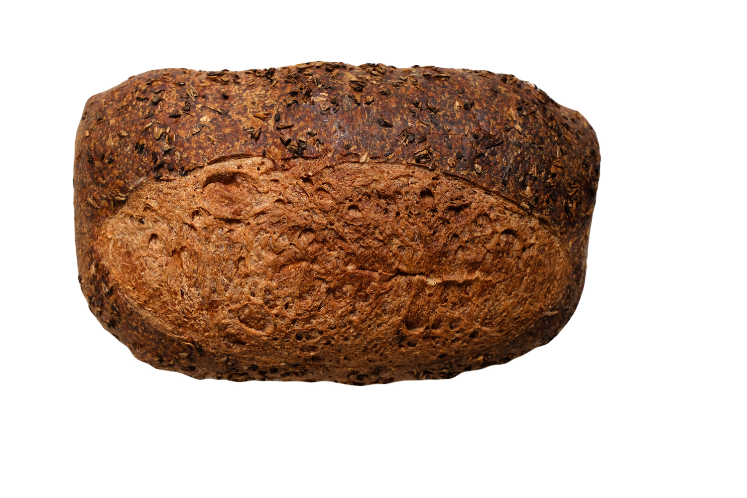 Whole Wheat Sourdough with Kichesippi Spent Grains Whole Wheat Sourdough with Kichesippi Spent Grains