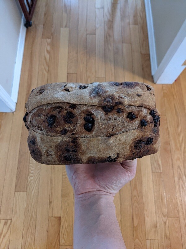Chocolate Cranberry Sourdough Loaves