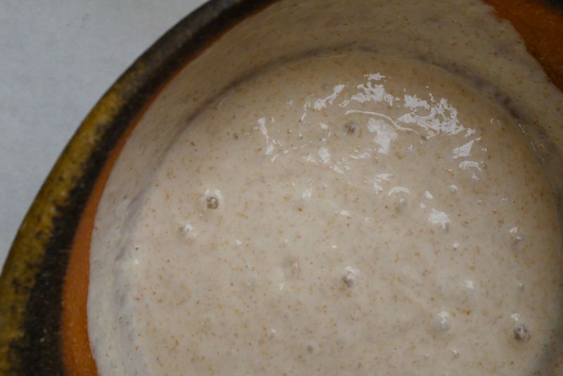 Stan The Sourdough Starter