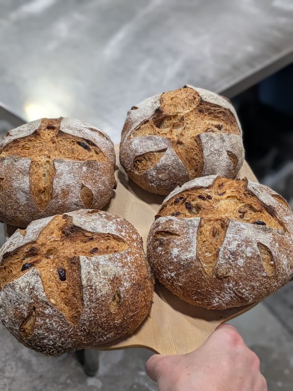 Pumpkin Seed and Cranberry Sourdough