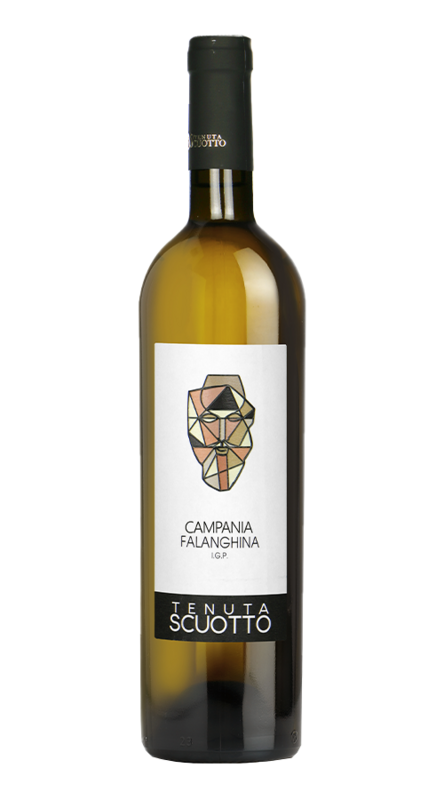 Falanghina Campania I.G.P. 2023