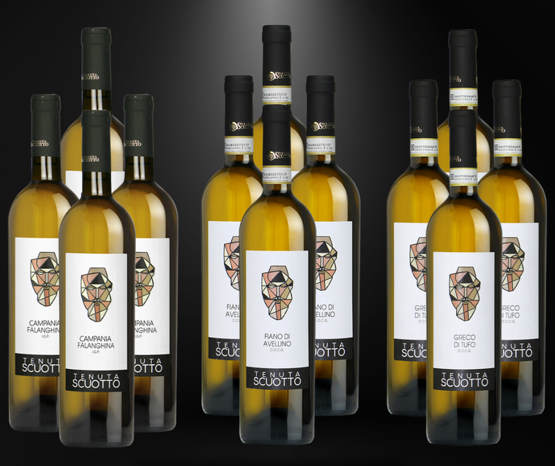 Super Offer Tenuta Scuotto 12 Bottles Super Offer Tenuta Scuotto 12 Bottles