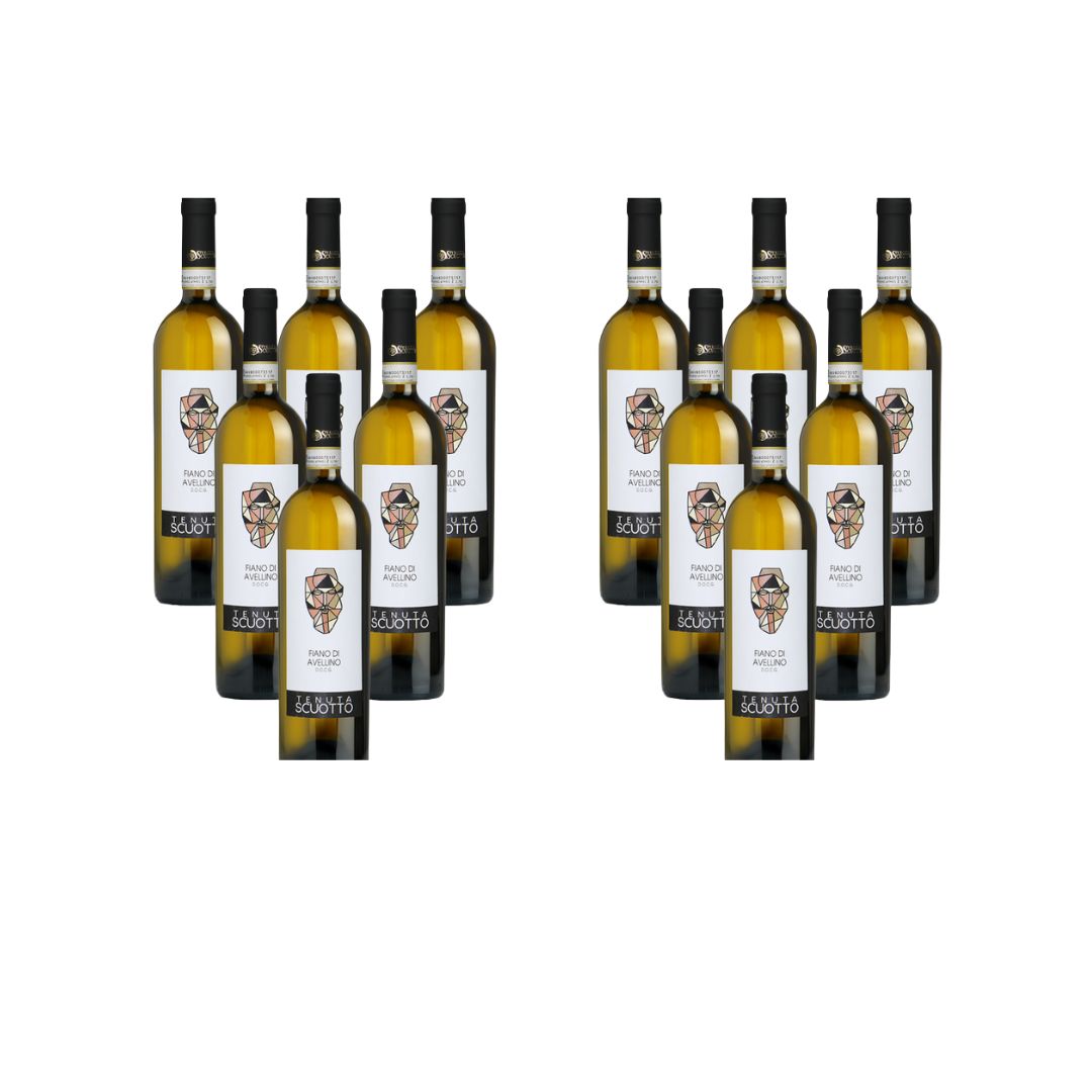 12 bottles Fiano di Avellino D.O.C.G. 2023