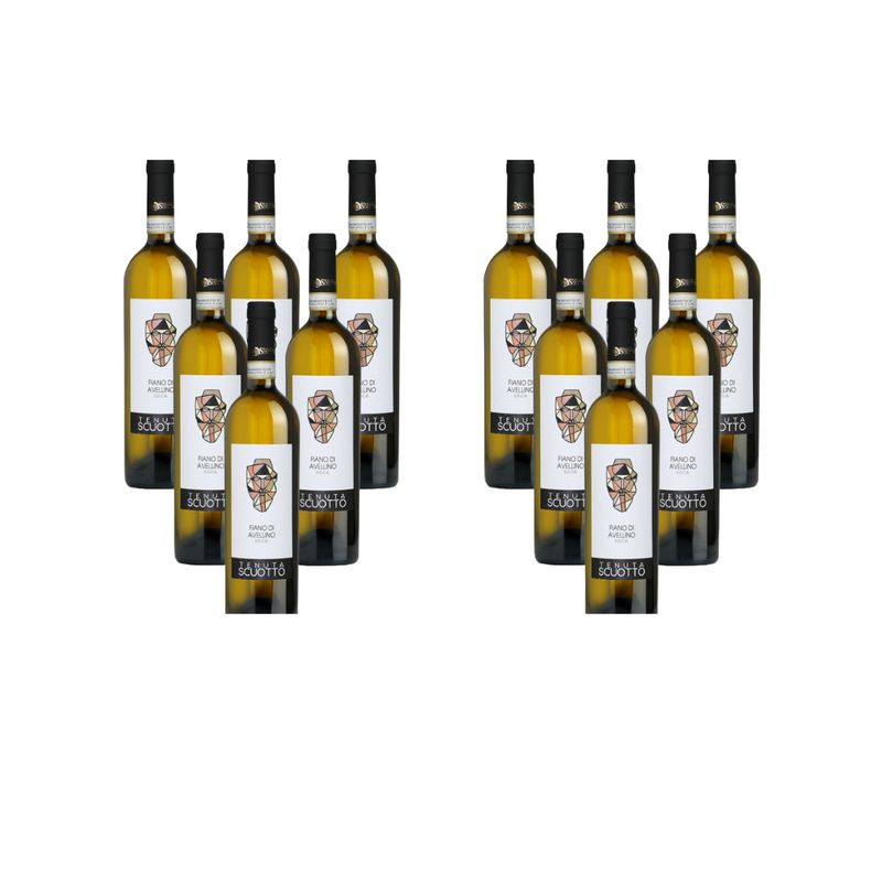 12 bottles Fiano di Avellino D.O.C.G. 2023 12 bottles Fiano di Avellino D.O.C.G. 2023