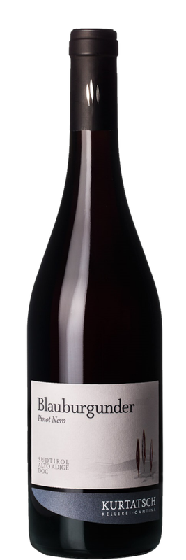 Pinot Noir Alto Adige DOC 2023 Pinot Noir Alto Adige DOC 2023