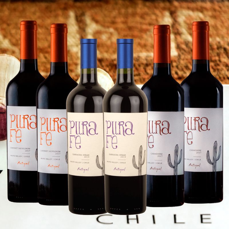 Antiyal Winery 6-Bottle Bundle – Maipo Valley, Chile