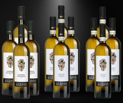 Super Offer Tenuta Scuotto 12 Bottles
