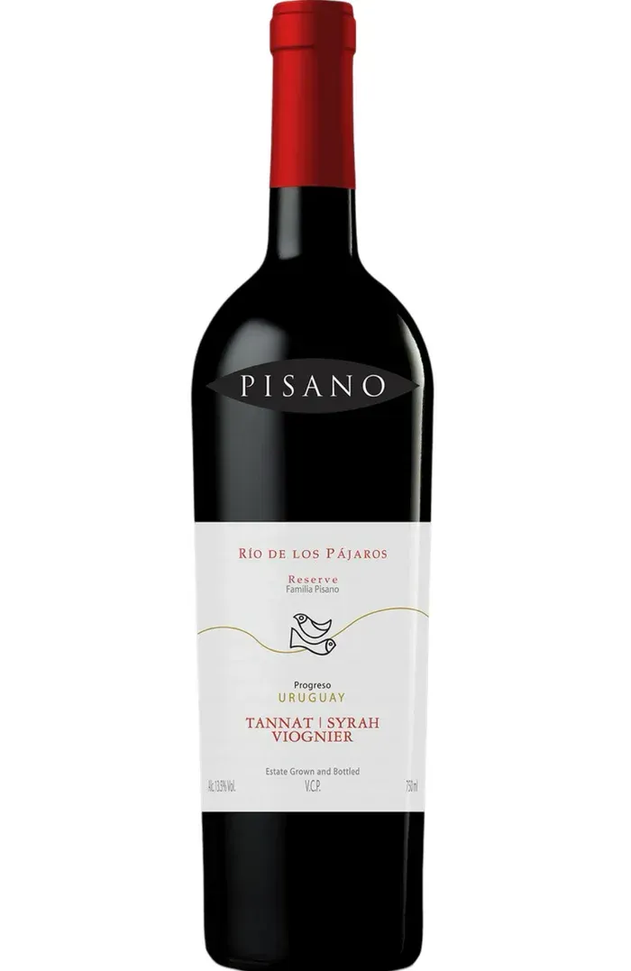 Pisano Rio de Los Pajaros Tannat Syrah Viognier 2019