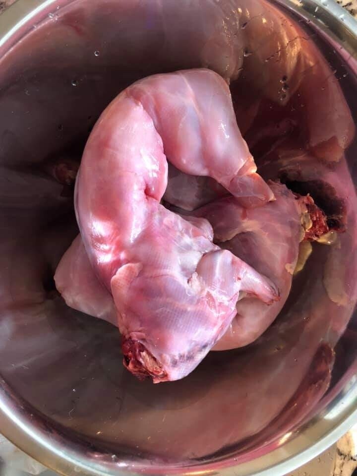 Whole fresh pastured rabbit