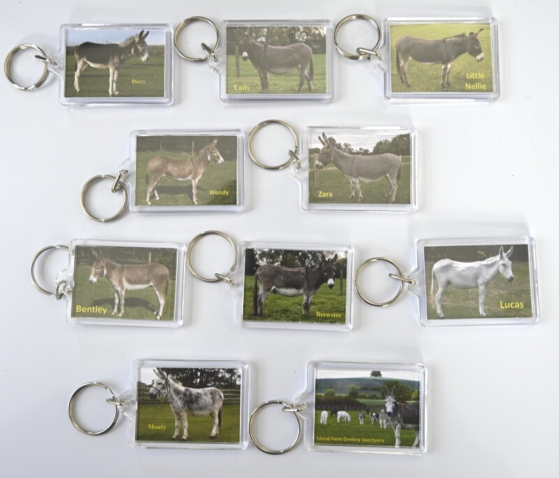 KEYRING (Adoption donkeys)