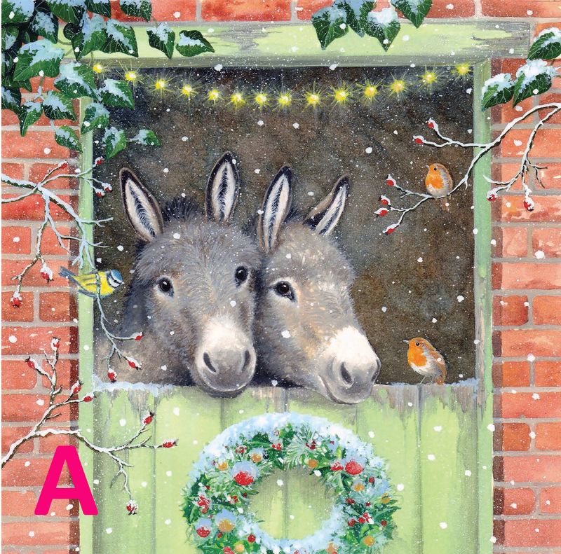 CHRISTMAS CARDS £3.50 per pack 3 packs for £9.99