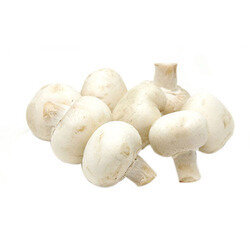White Mushroom فطر أبيض (Box) - Franje