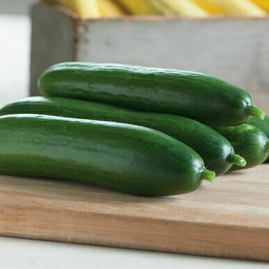 Cucumber خيار (Kg) - Our Selection Cucumber خيار (Kg) - Our Selection