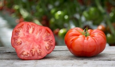 Tomato Jabali بندورة جبلية (Kg) - Our Selection Tomato Jabali بندورة جبلية (Kg) - Our Selection