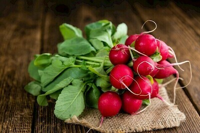 Radish فجل (Bunch) - Our Selection Radish فجل (Bunch) - Our Selection