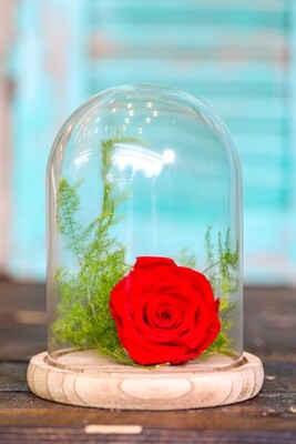 Endless Love (Arrangement) - Nature by Marc Beyrouthy Endless Love (Arrangement) - Nature by Marc Beyrouthy