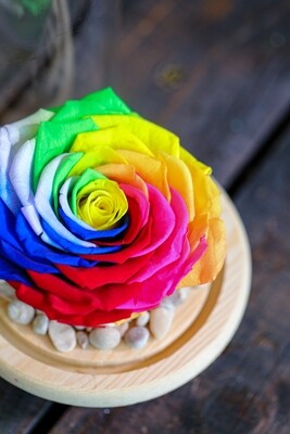 Rainbow of Love (Arrangement) - Nature by Marc Beyrouthy Rainbow of Love (Arrangement) - Nature by Marc Beyrouthy