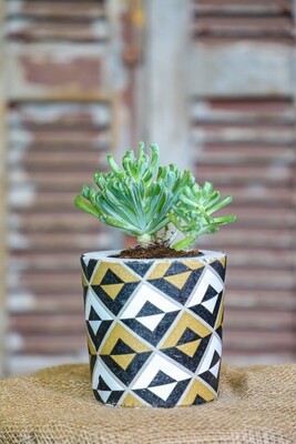 Concrete Meets Succulents (Piece) - Coup de Glue