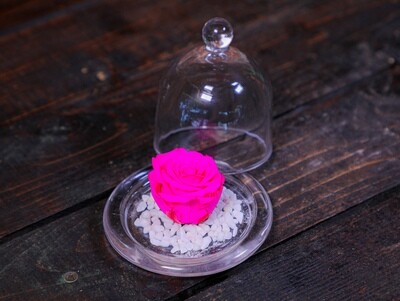 Crystal Rose S (Arrangement) - Nature by Marc Beyrouthy Crystal Rose S (Arrangement) - Nature by Marc Beyrouthy