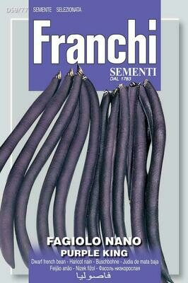 Bean Dwarf Purple King (Phaseolus vulgaris L.) (Bag) - Franchi Sementi